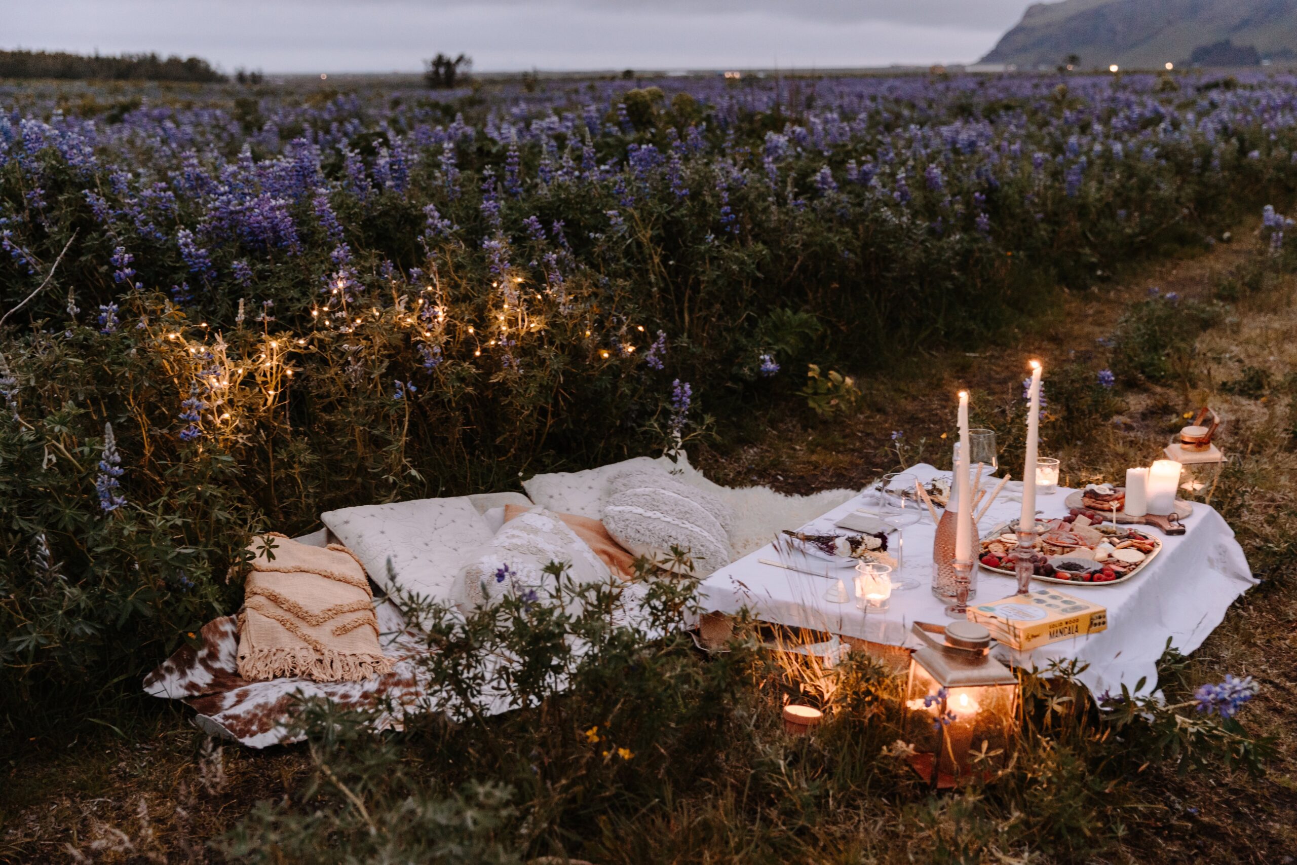 Couples Luxury Picnic in lupine fields Iceland by EZ Elopements