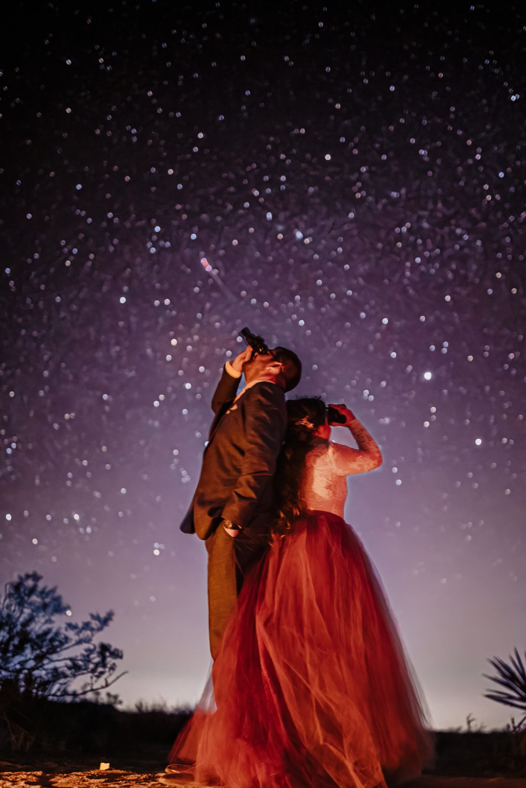 Newlyweds under a starry Joshua Tree sky.