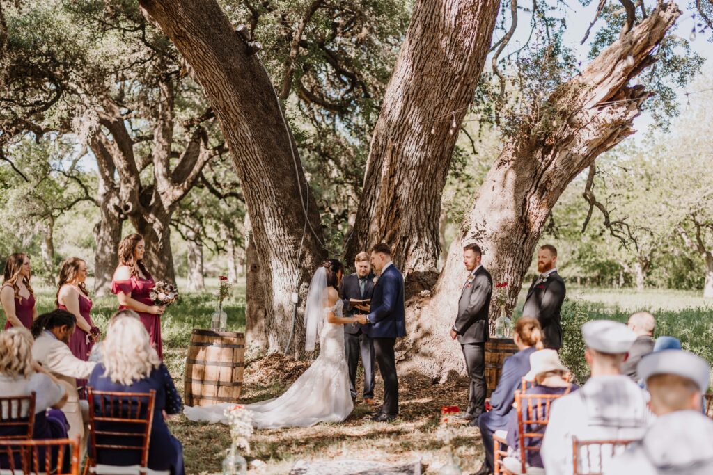 Bride and Groom marry under a large old tree.