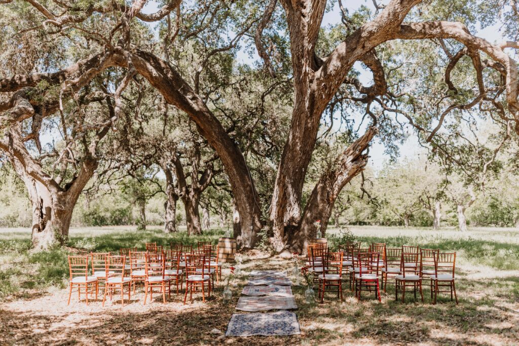 Wedding setup under a large old tree.