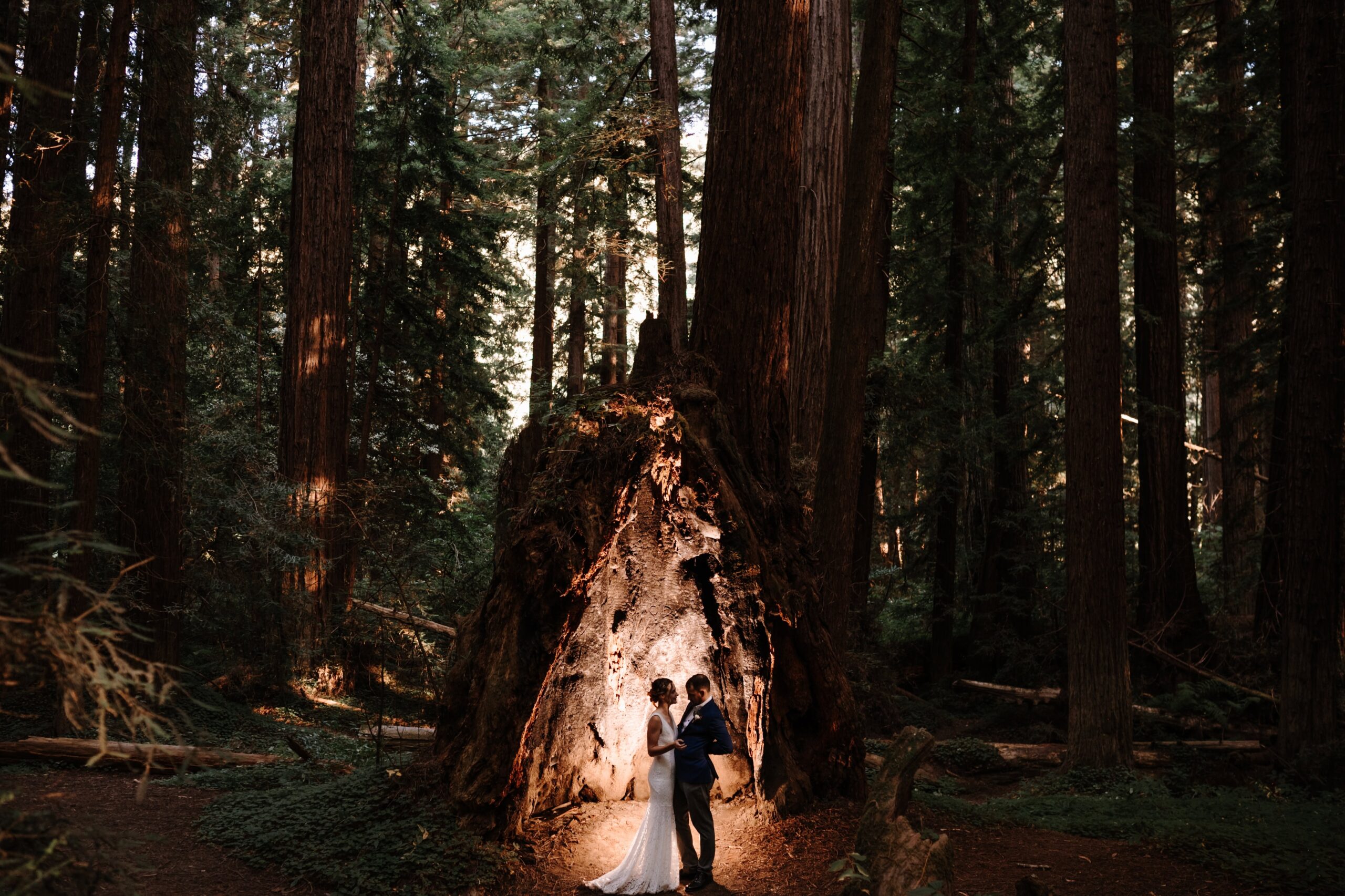 Newlyweds explore the Redwood forest together.