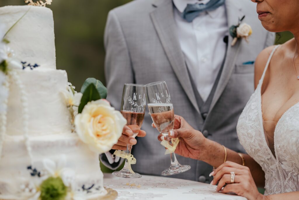 Newlyweds cheering to their new forever at their Pandemic Elopement.