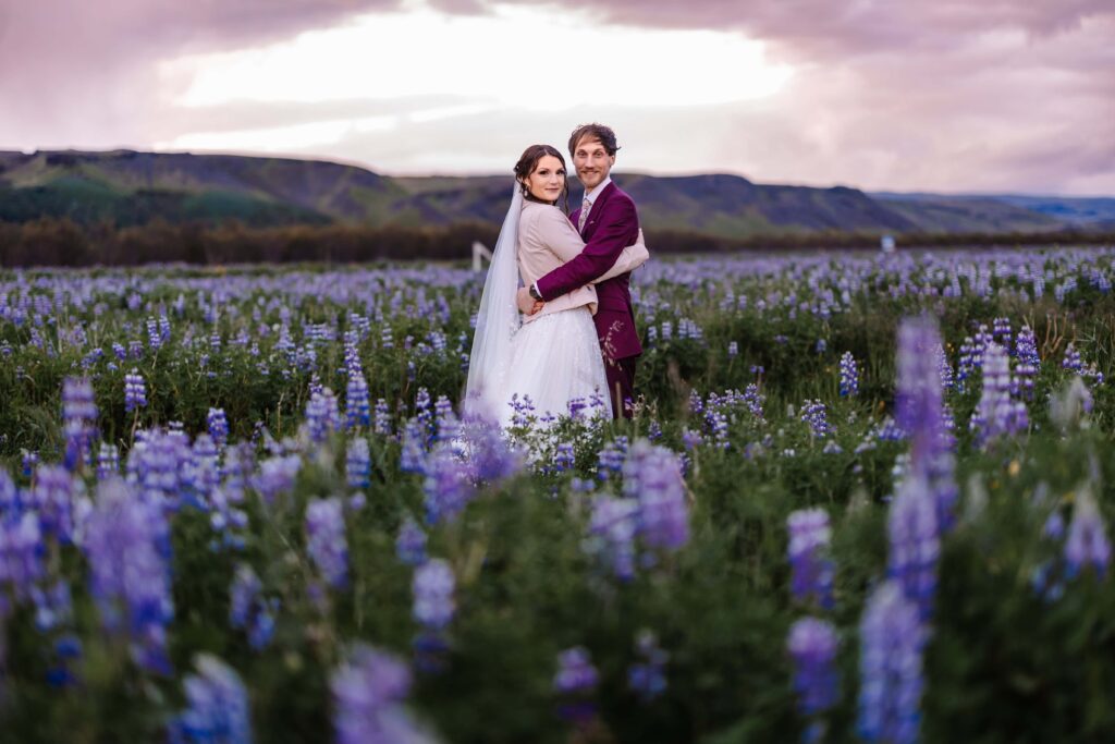 Bride and Groom in a beautiful Icelandic lavender field.