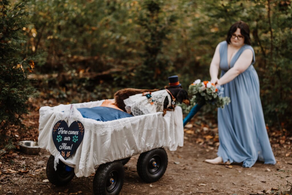 groom's sister taking care of pets on their wedding day