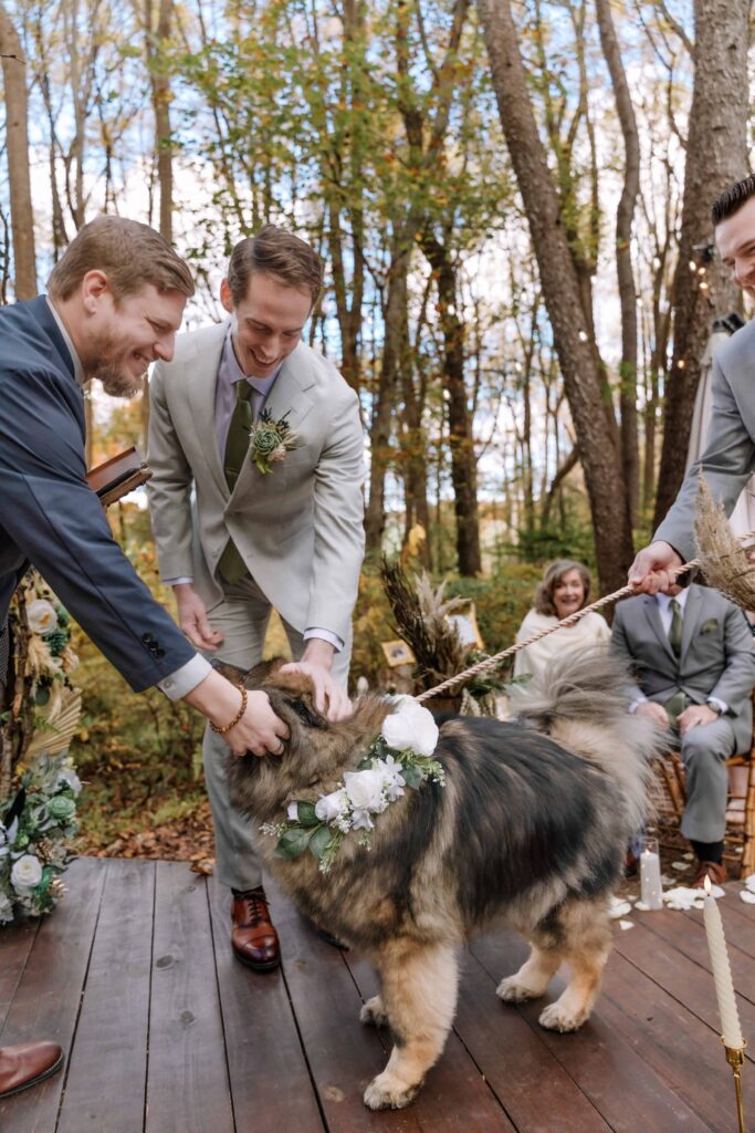 the doggie best man and ring bearer delivering the rings. 