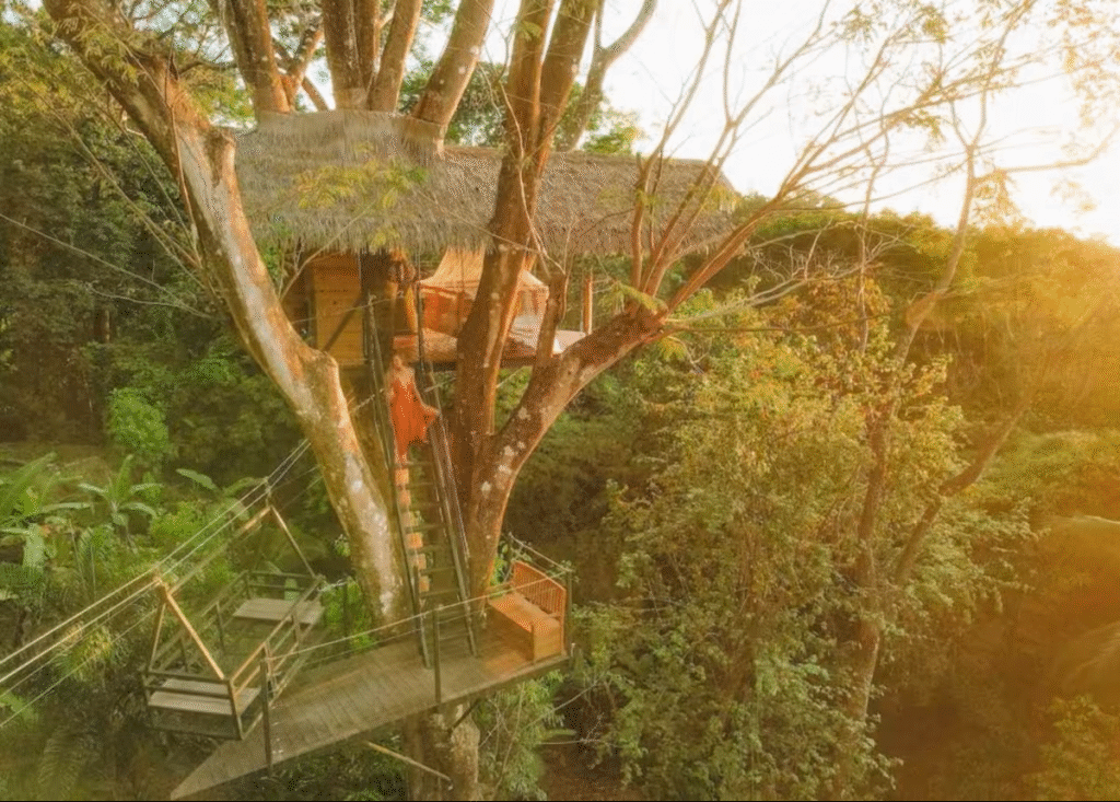 Elope in a Costa Rican Treehouse. 